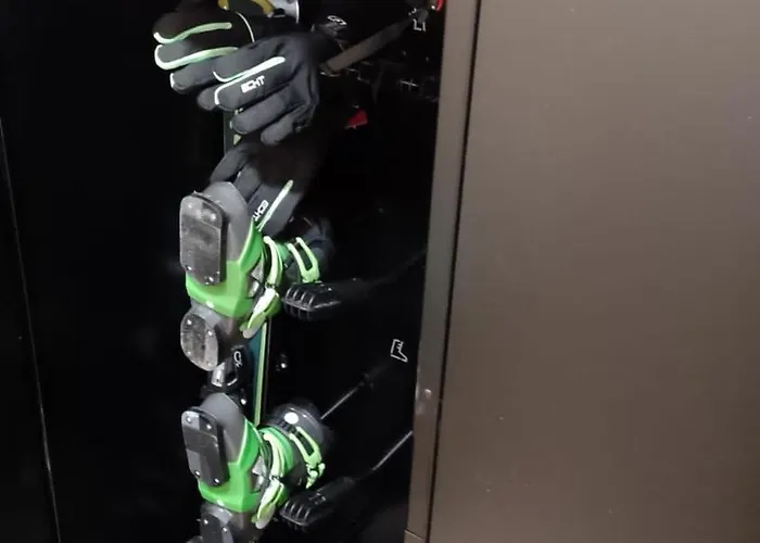 Domek alpejski Nartorama Zieleniec